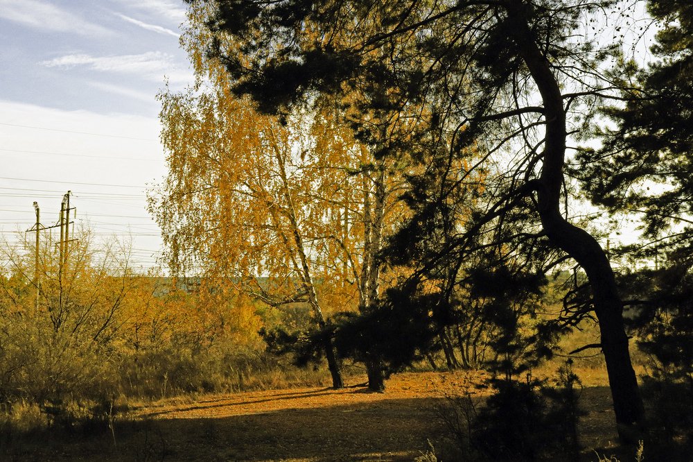 Photograph by Федоренко Элеонора