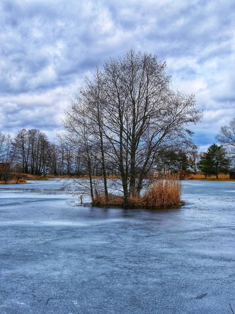 Photograph by Ján Šedivý