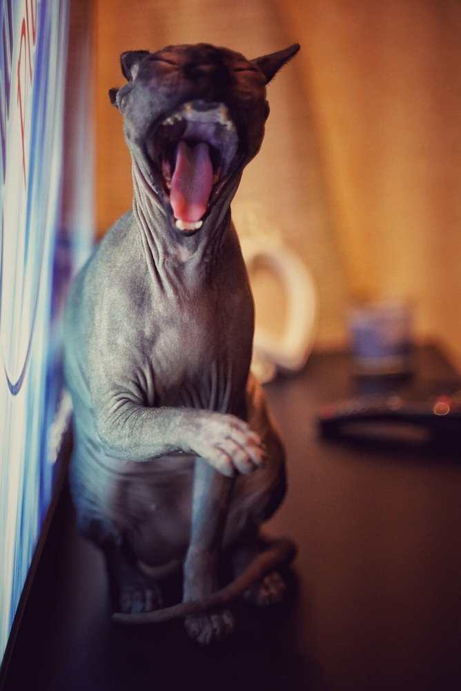 Photograph by Татьяна Машина