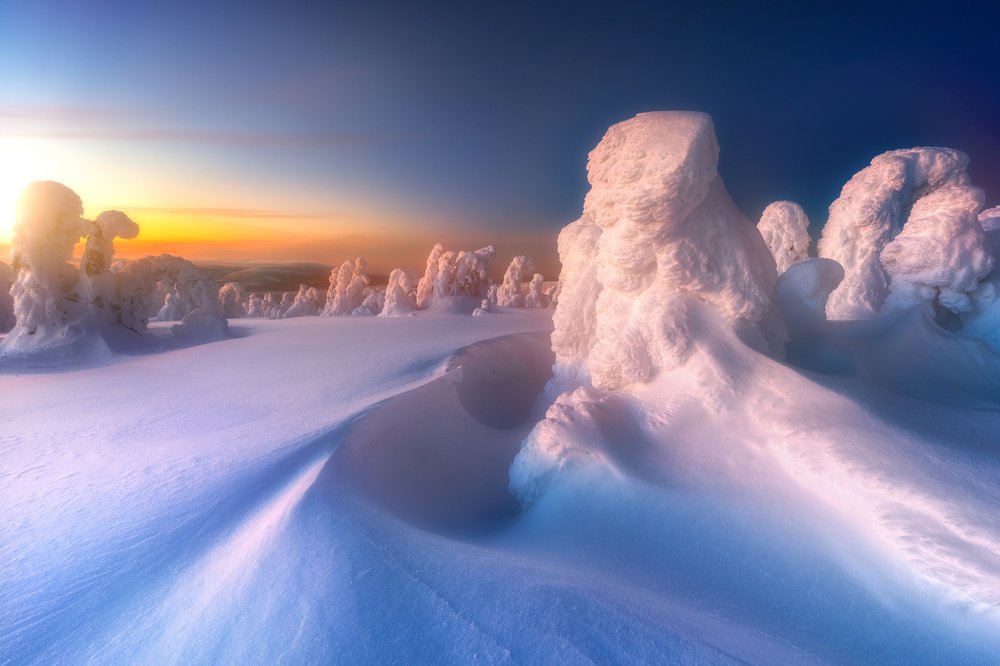 Photograph by Piotr Zagzil