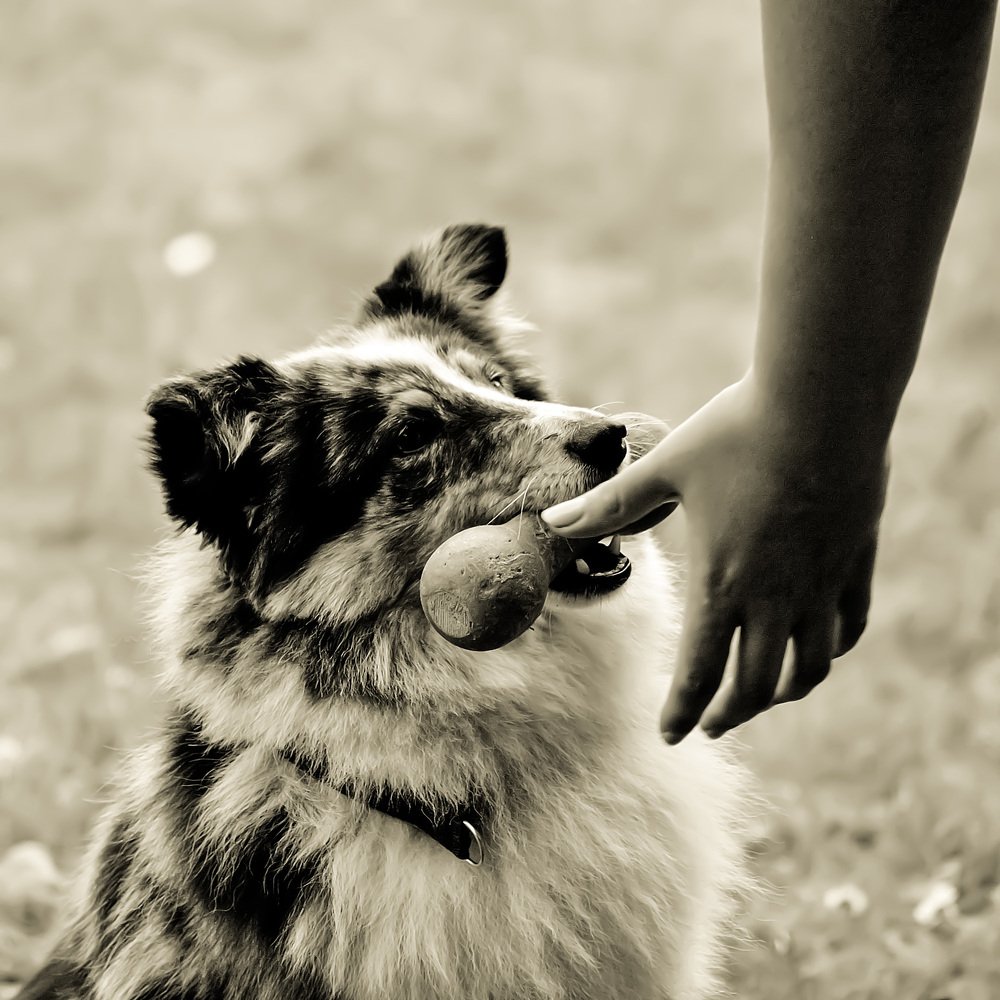 Photograph by Marius Žvikas