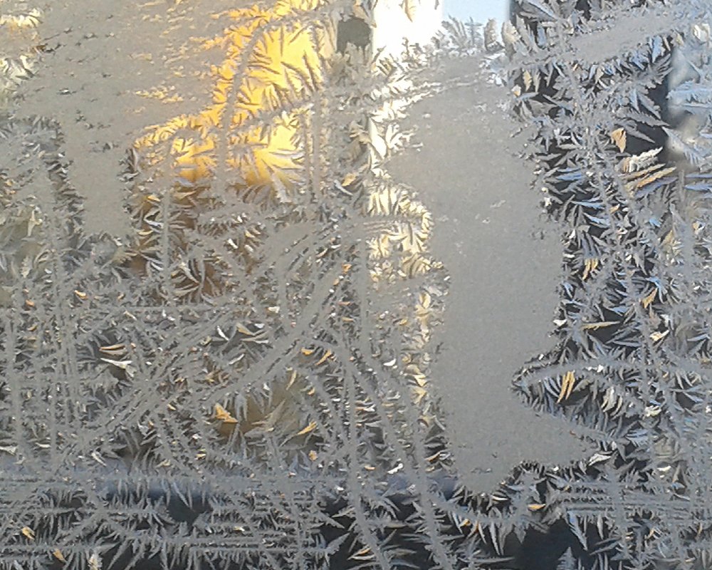 "МОРОЗНЫЕ УЗОРЫ. ЧУДО-ЮДО"