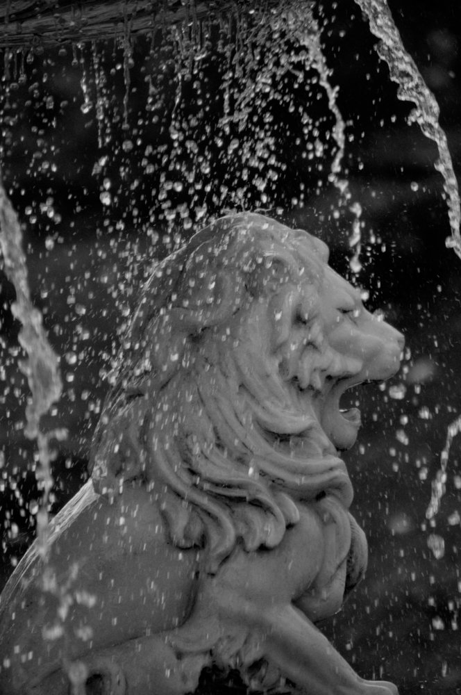 Photograph by Арина Егина