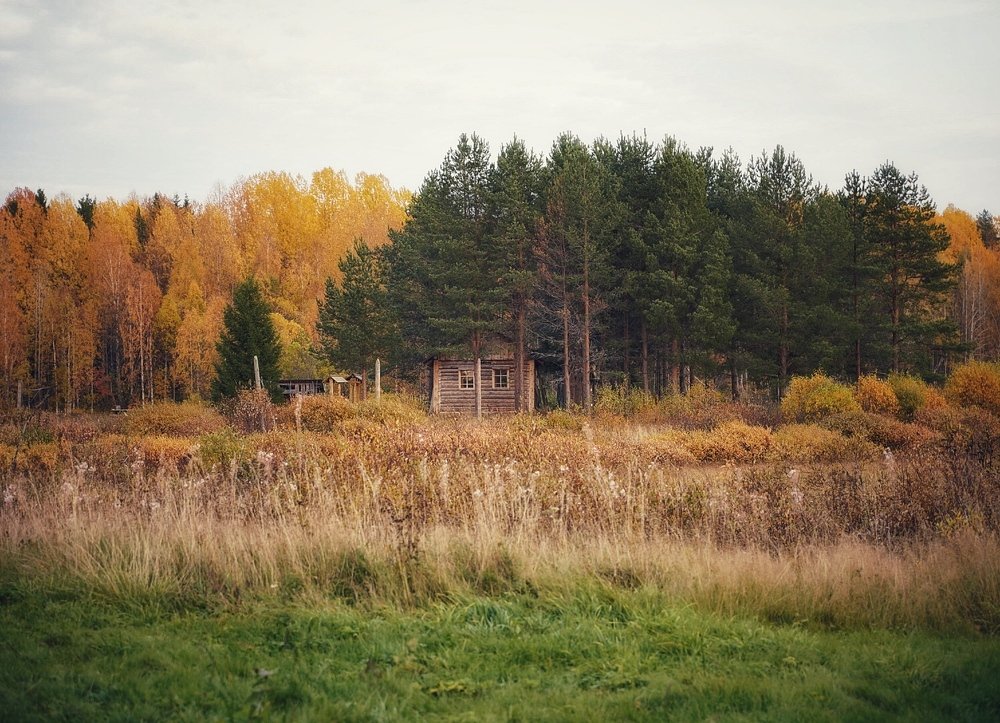 Photograph by Татьяна Машина