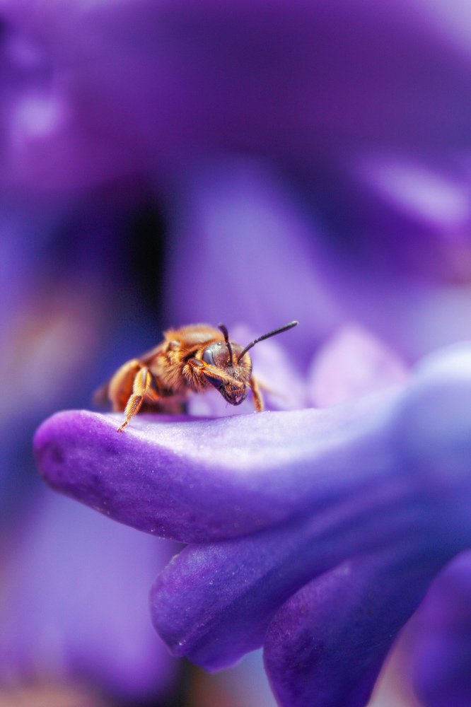 Photograph by Alena Rybakova