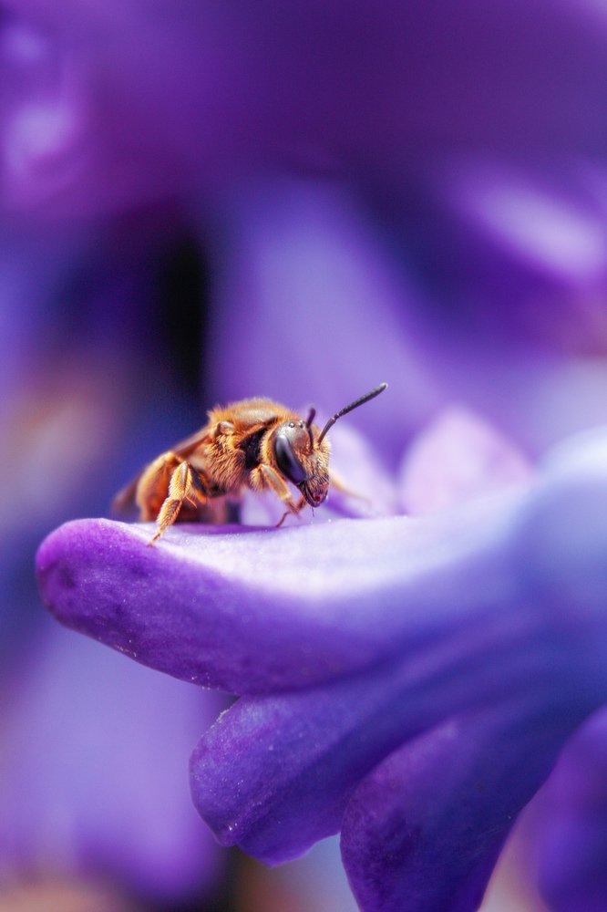 Photograph by Alena Rybakova