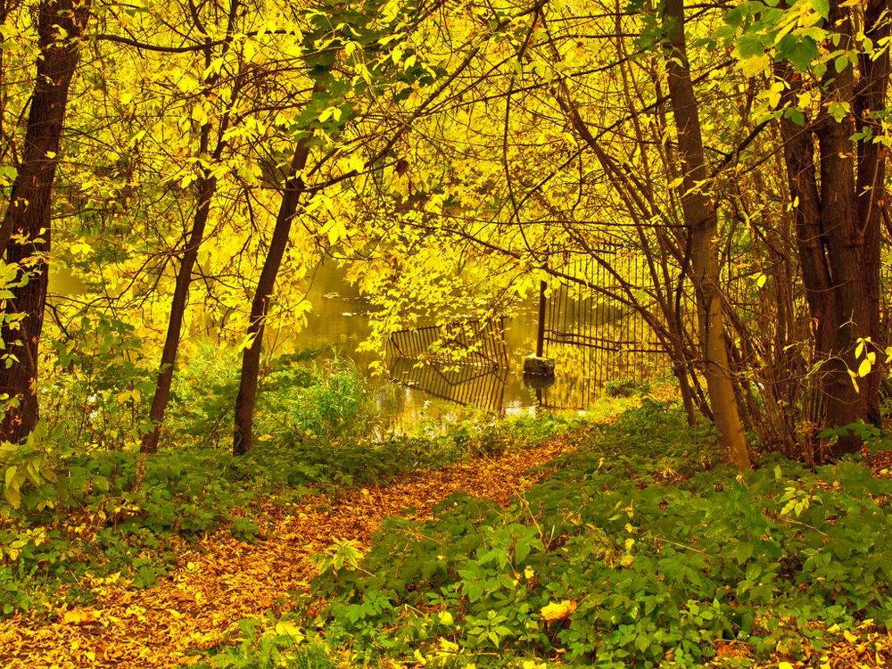Photograph by Наталья Еременко