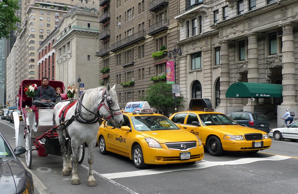 Photograph by Всеволод Озеров