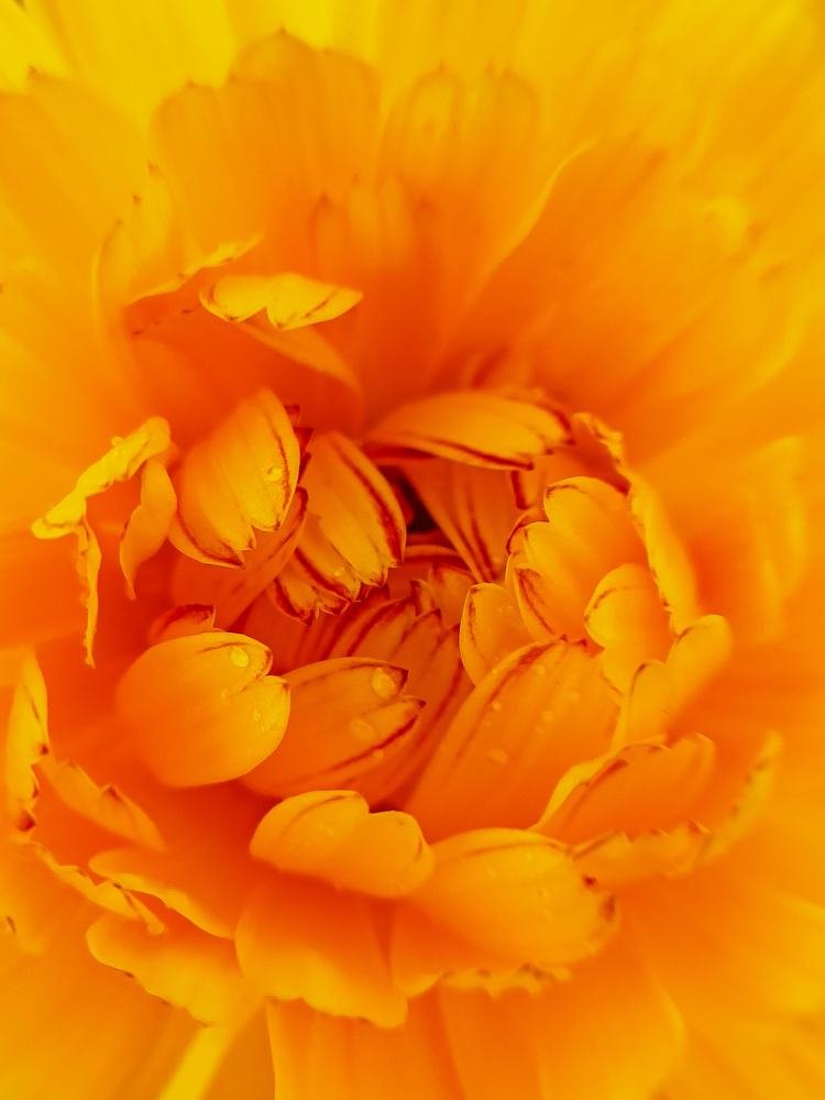 Photograph by Ольга Ситникова