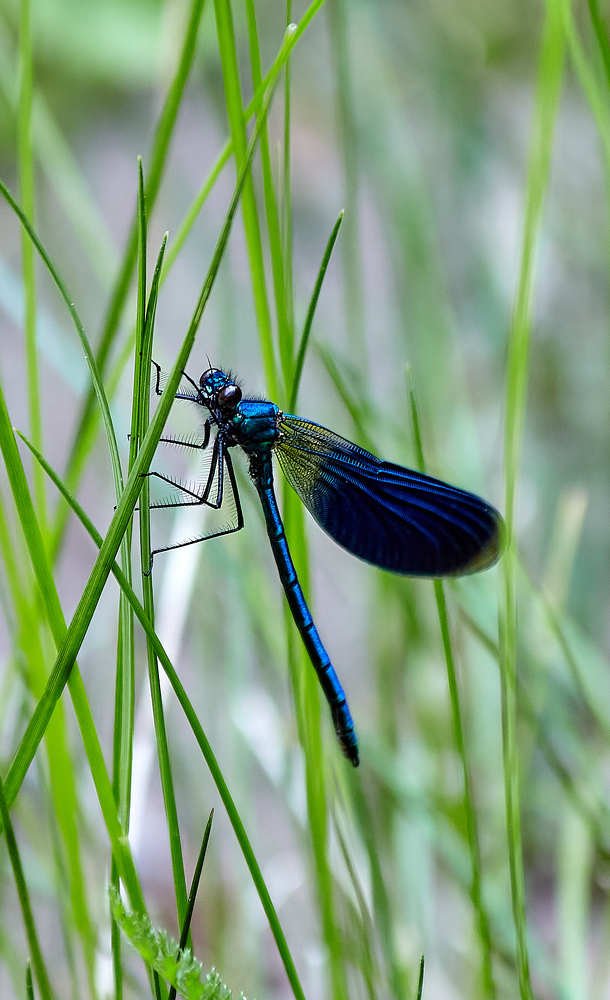 Photograph by Николай Зернов