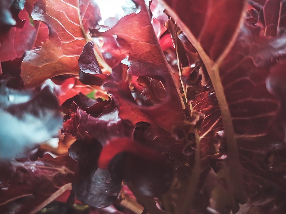 Фотография автора Мария Веселова