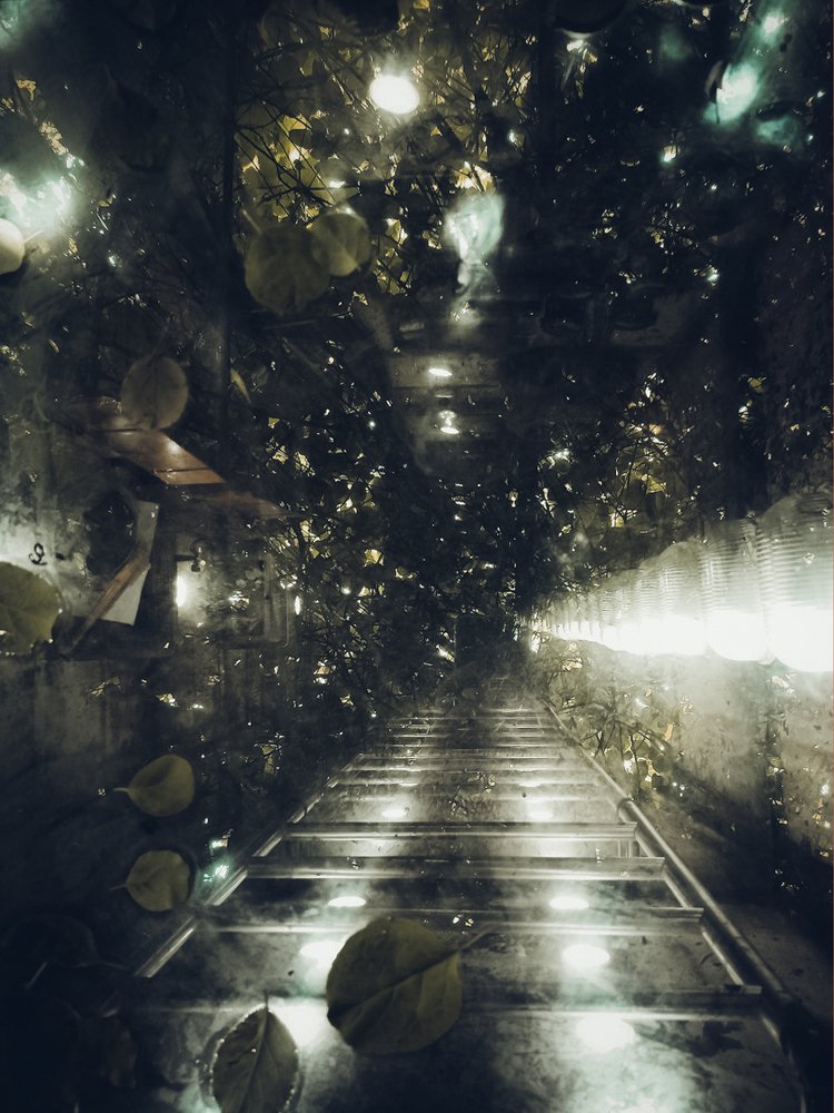 Фотография автора Мария Веселова