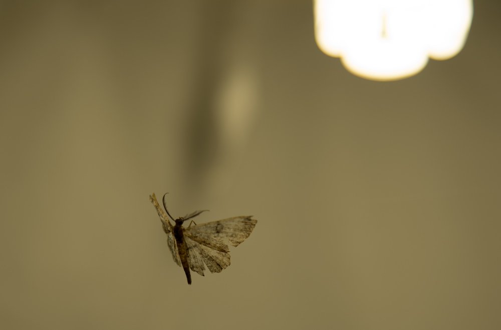 Photograph by Михаил Кравченко