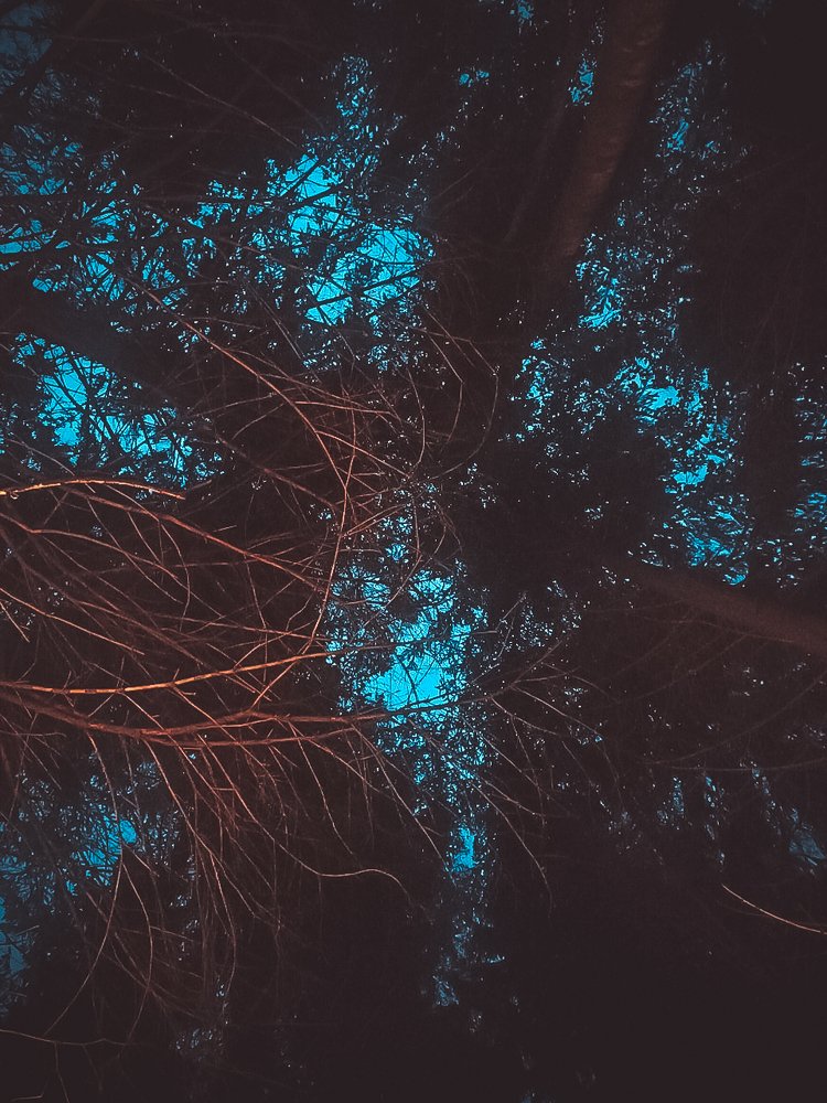 Фотография автора Мария Веселова