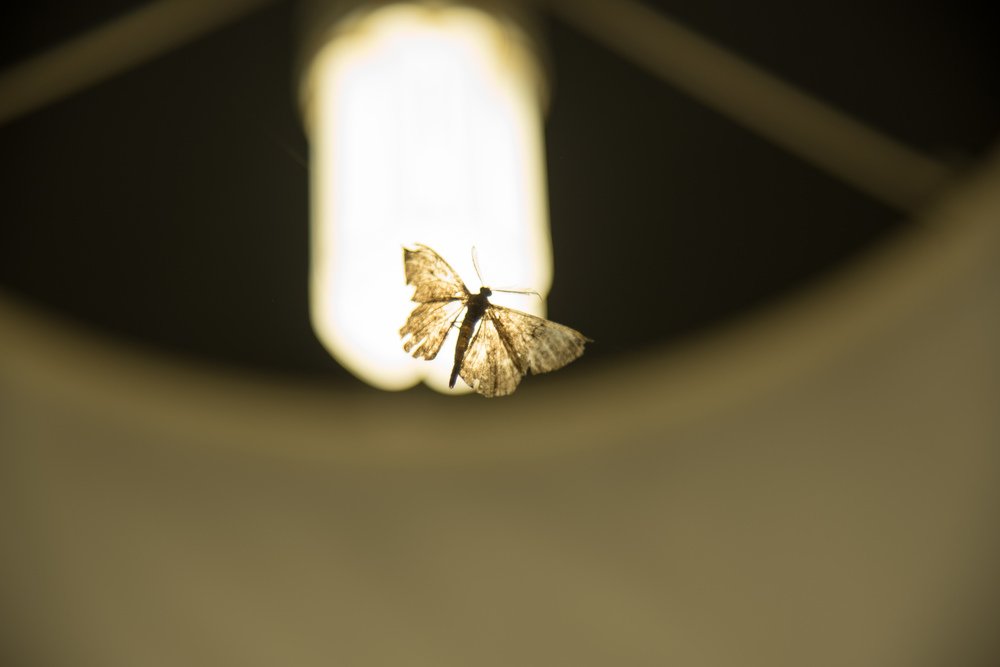 Photograph by Михаил Кравченко