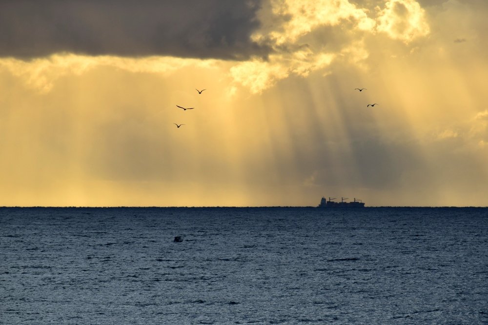 Photograph by Никуличева Екатерина