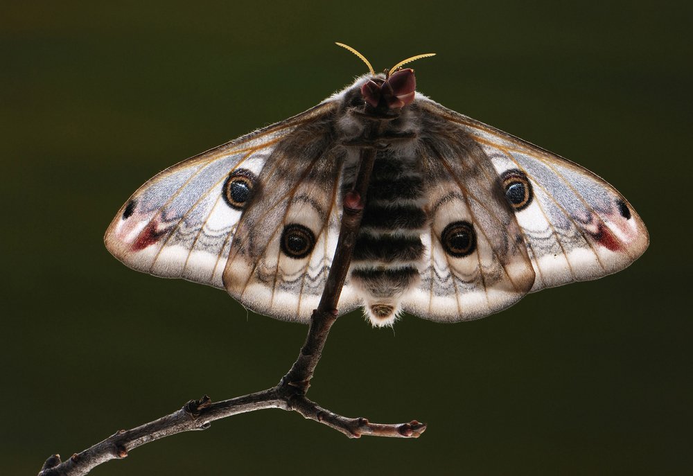 Photograph by Александр Чувилин