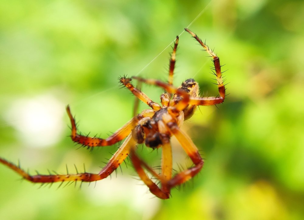 Фотография автора Станислав Ермолин