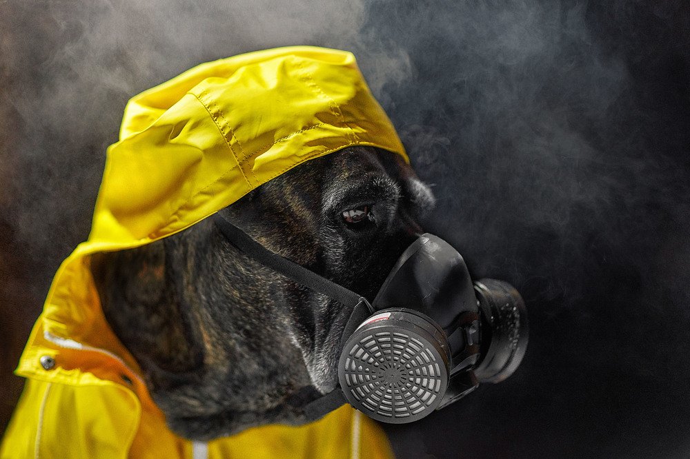 Photograph by Оксана Сироштан