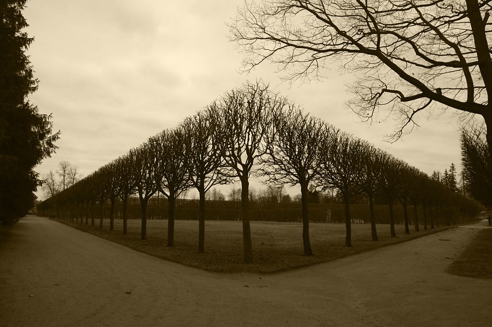 Photograph by Николай