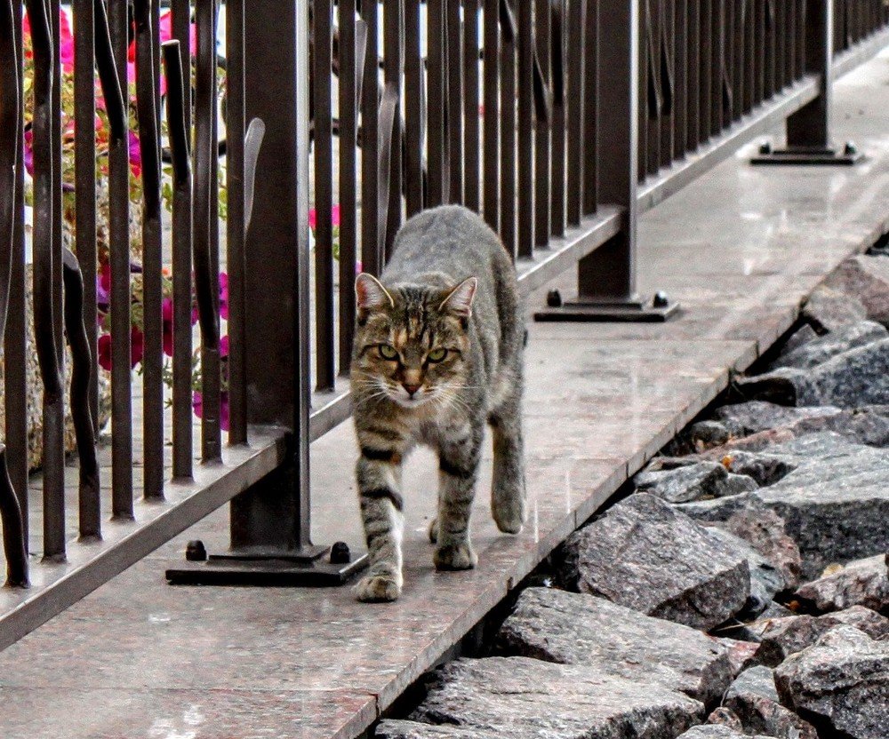 Photograph by Денис Лащ