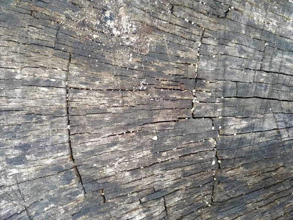 Photograph by  Светлана