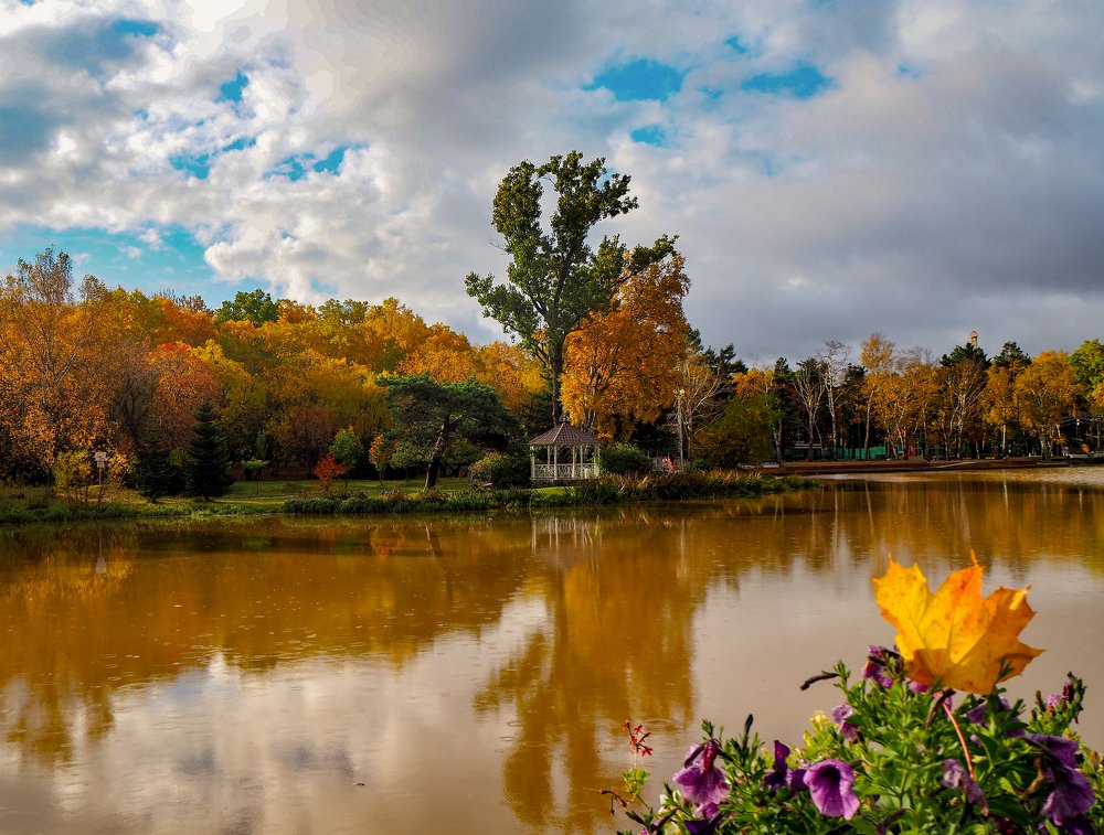 Фотография автора Olena Vorotyntseva