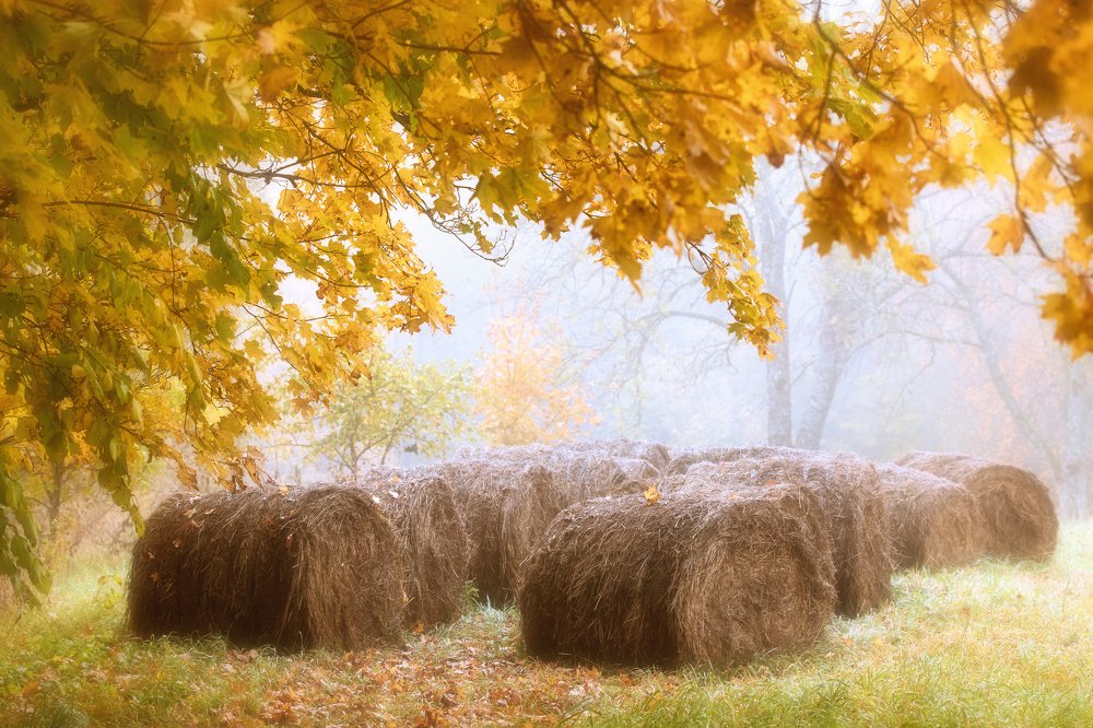 Photograph by Julija Lurina