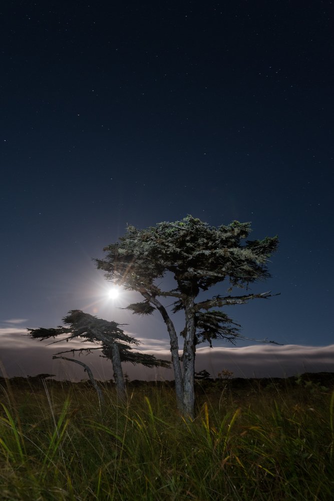 Photograph by Галина