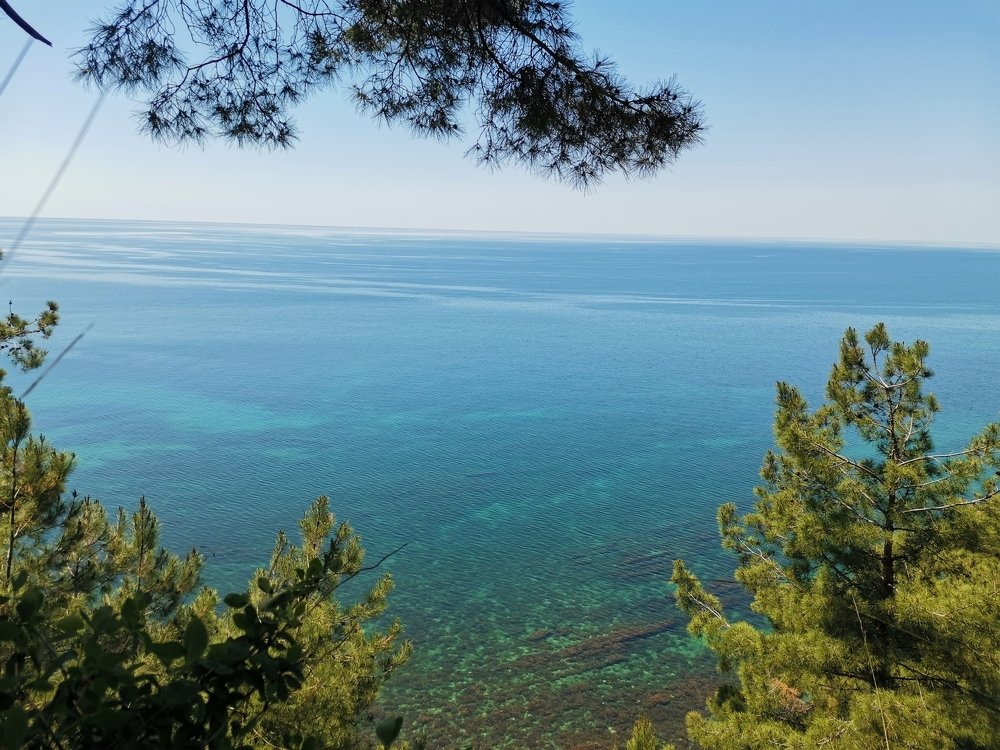 Photograph by Александр Тэльнор