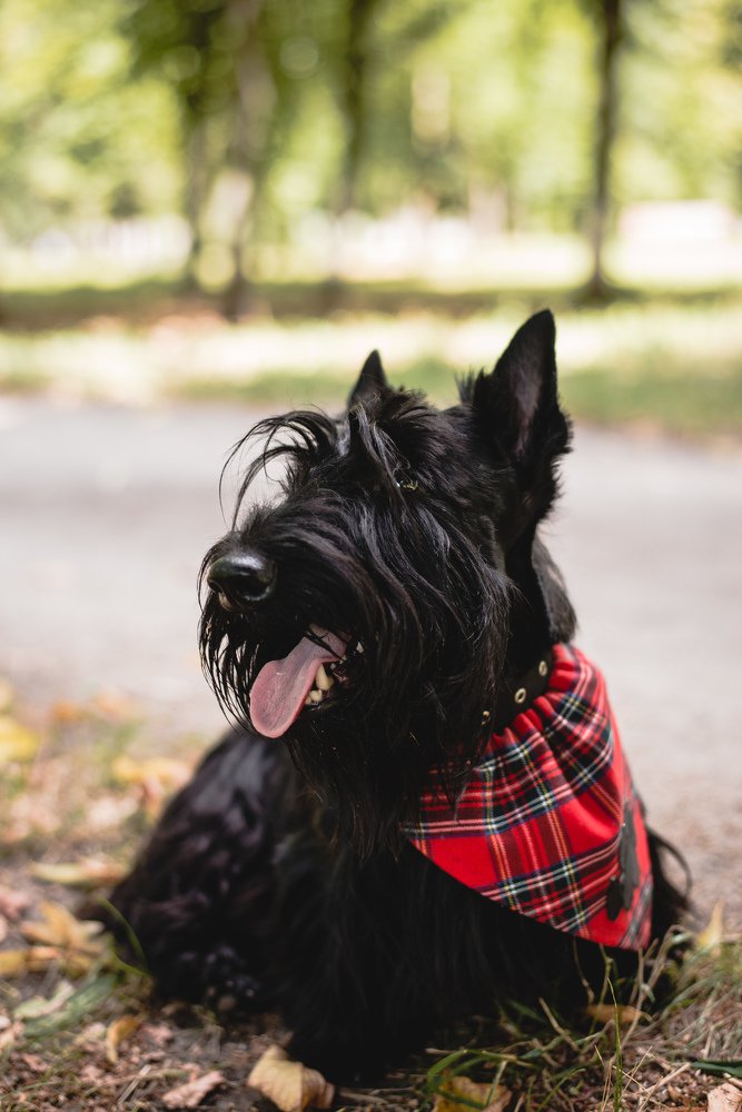 Photograph by Евгения Скидан