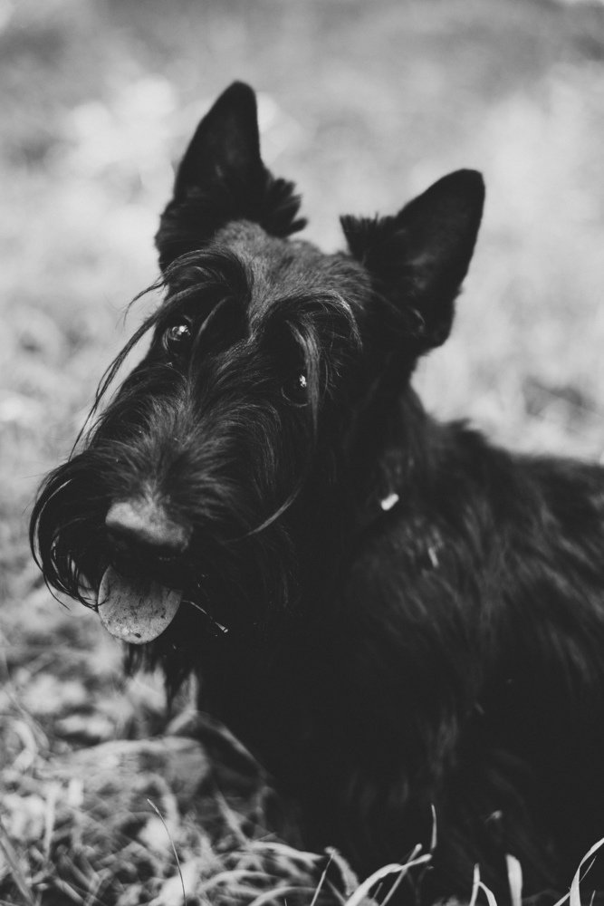 Photograph by Евгения Скидан