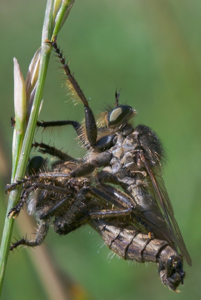 Photograph by Igor Ryzhov