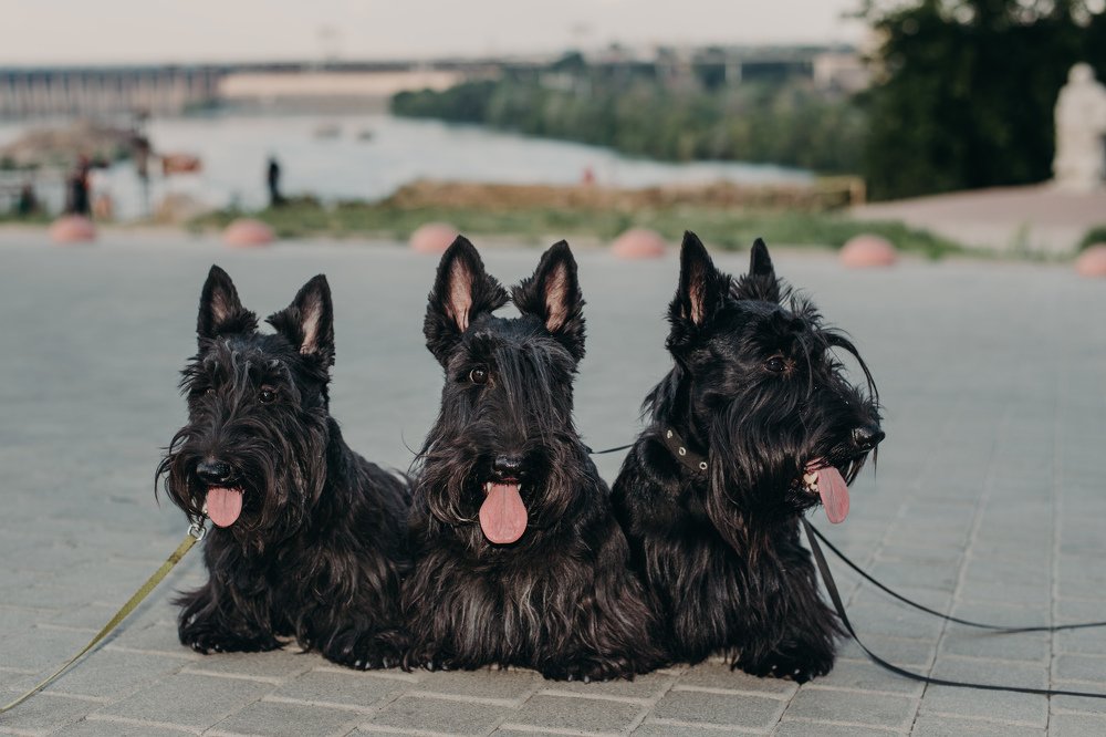 Photograph by Евгения Скидан