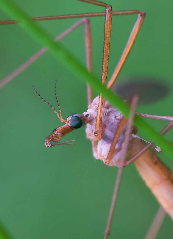 Photograph by Igor Ryzhov