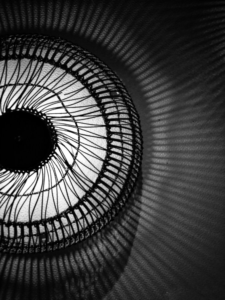 Photograph by Eimy Eldeeb