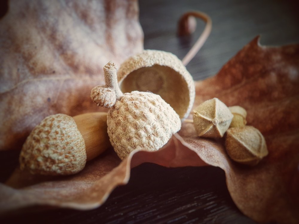 Фотография автора Юлия Таран