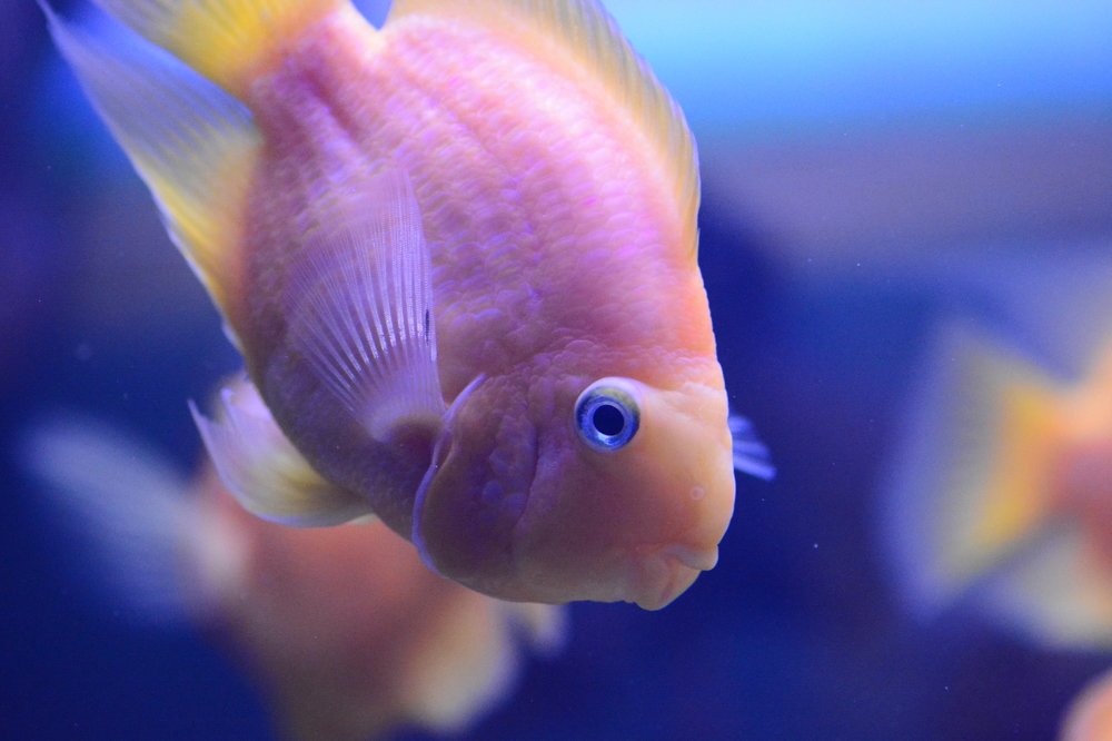 Photograph by Виктория Мейо