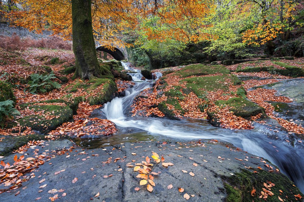 Photograph by Anatoly Chomko