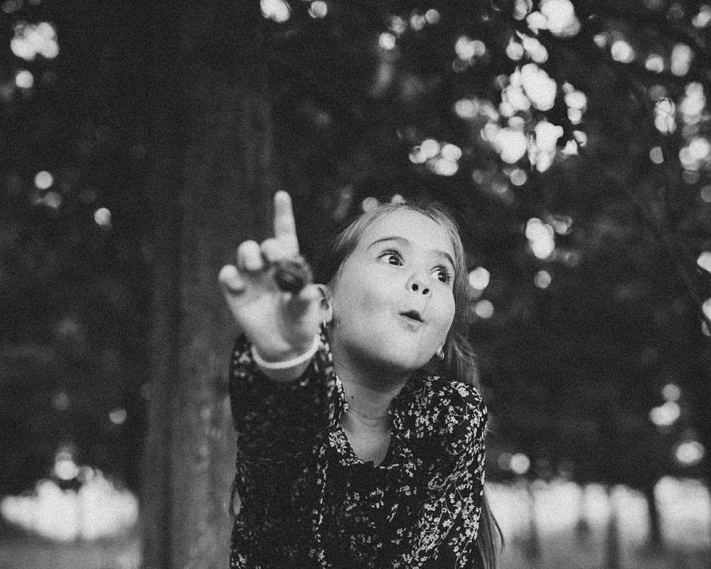 Photograph by Алексей Степаненко