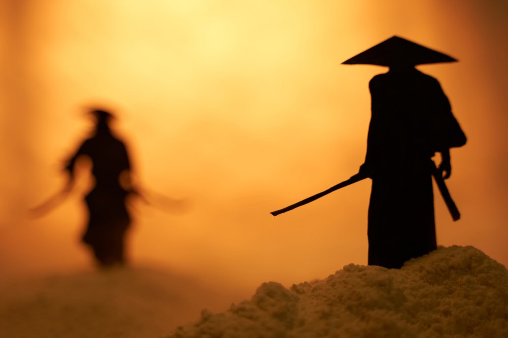 Битва самураев