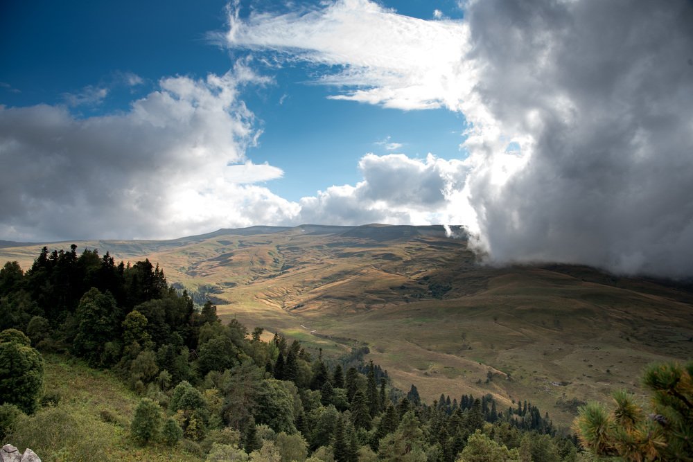 Photograph by Михаил Кравченко