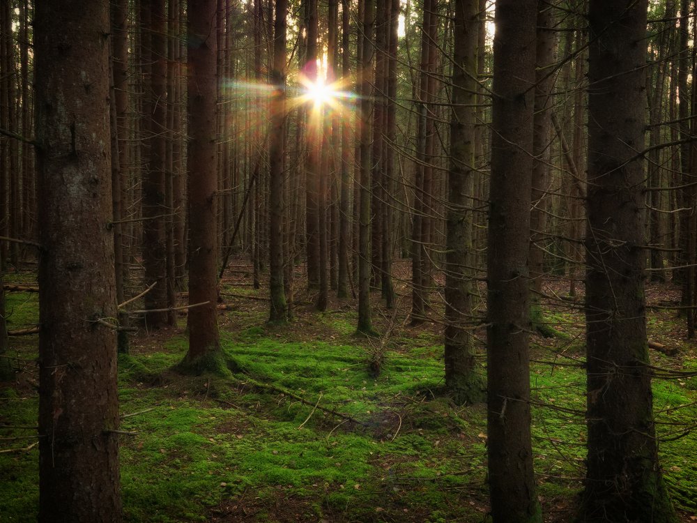 Photograph by Пётр Калачев