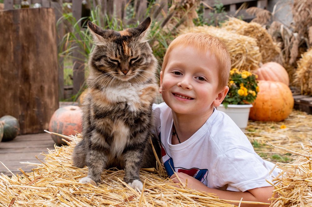 Photograph by Александра Невесёлая