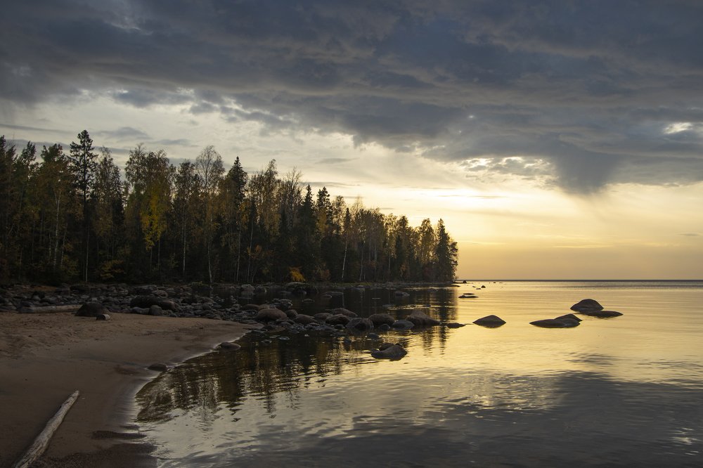 На берегу Онеги