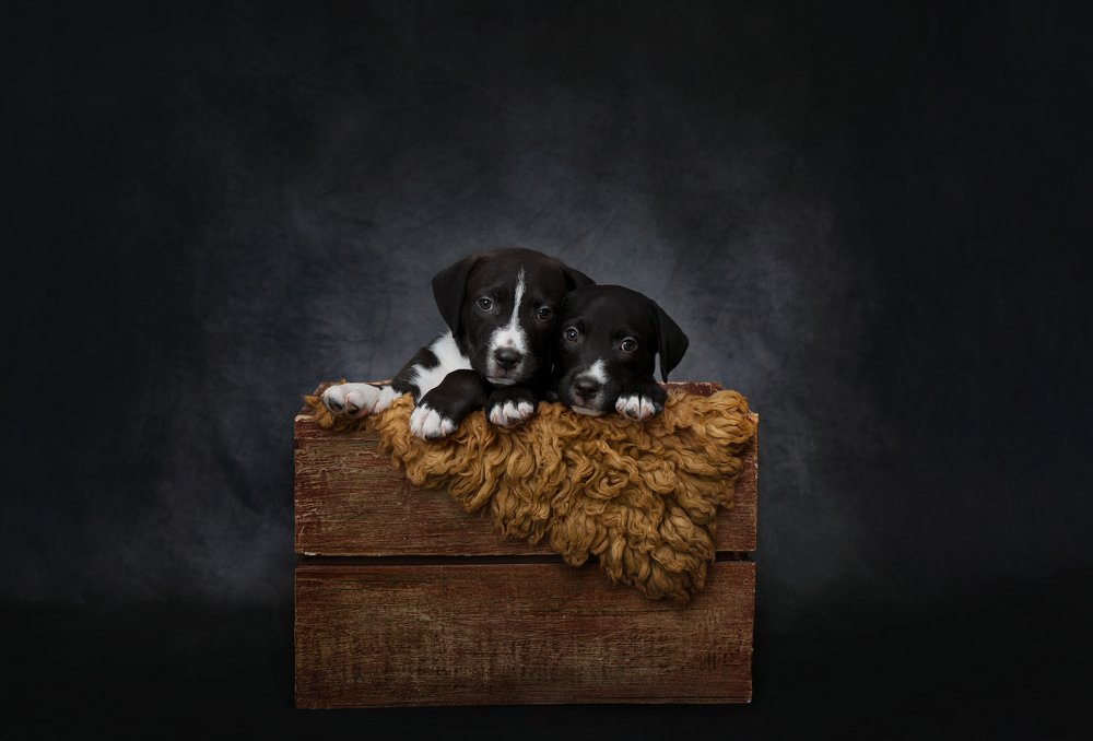 Photograph by Carola Contreras