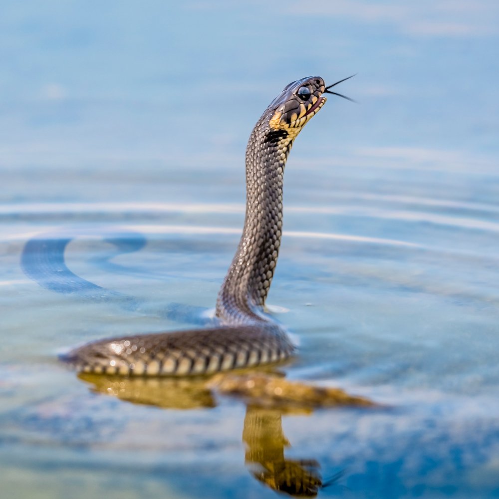 Photograph by Александр Абросимов