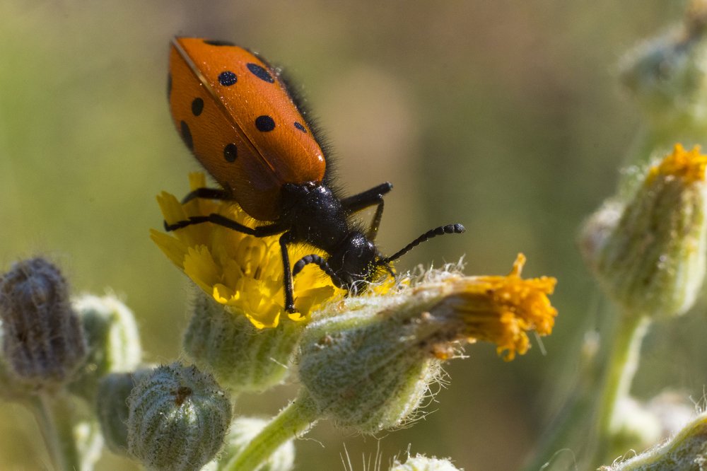 Photograph by Дмитрий Тимин
