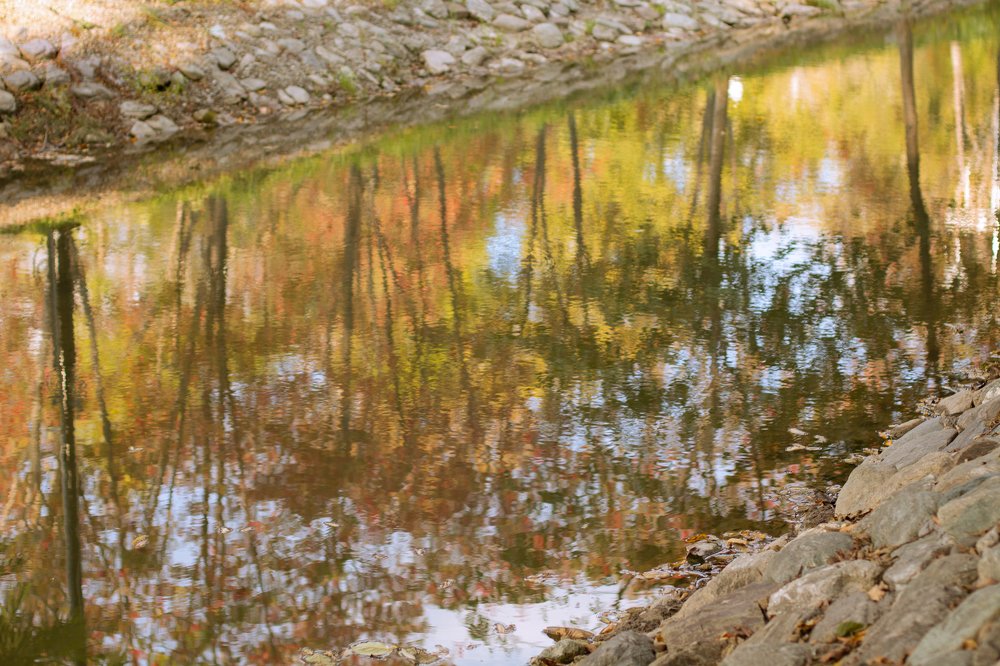 Осенние воды