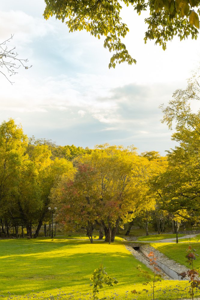 Начало увядания